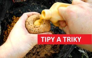 TIPY A TRIKY: Jednoduchá výroba extrémně smradlavého krmení na kapry! Hotovo za pár minut
